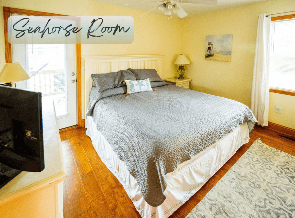 Seahorse Room (600 x 444 px)