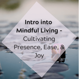 intro to mindful living photo
